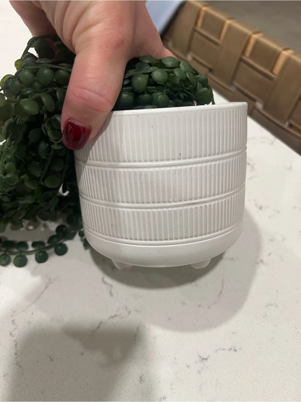 Faux Green Trailing Potted Plant